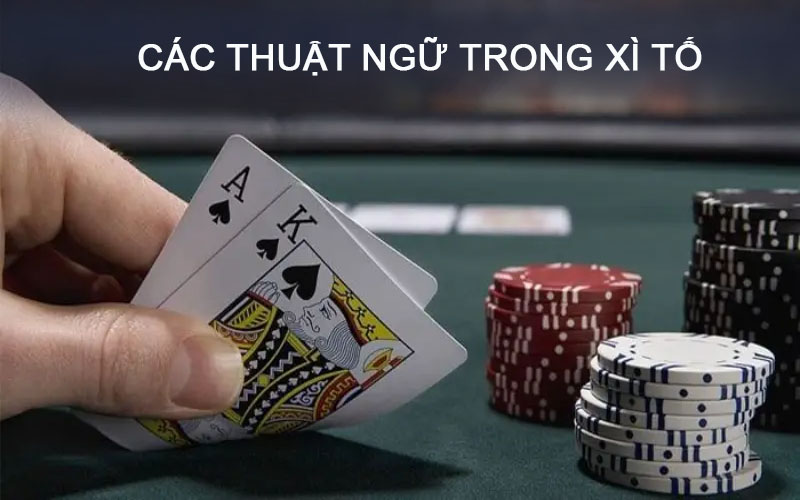 Thuật ngữ xì tố